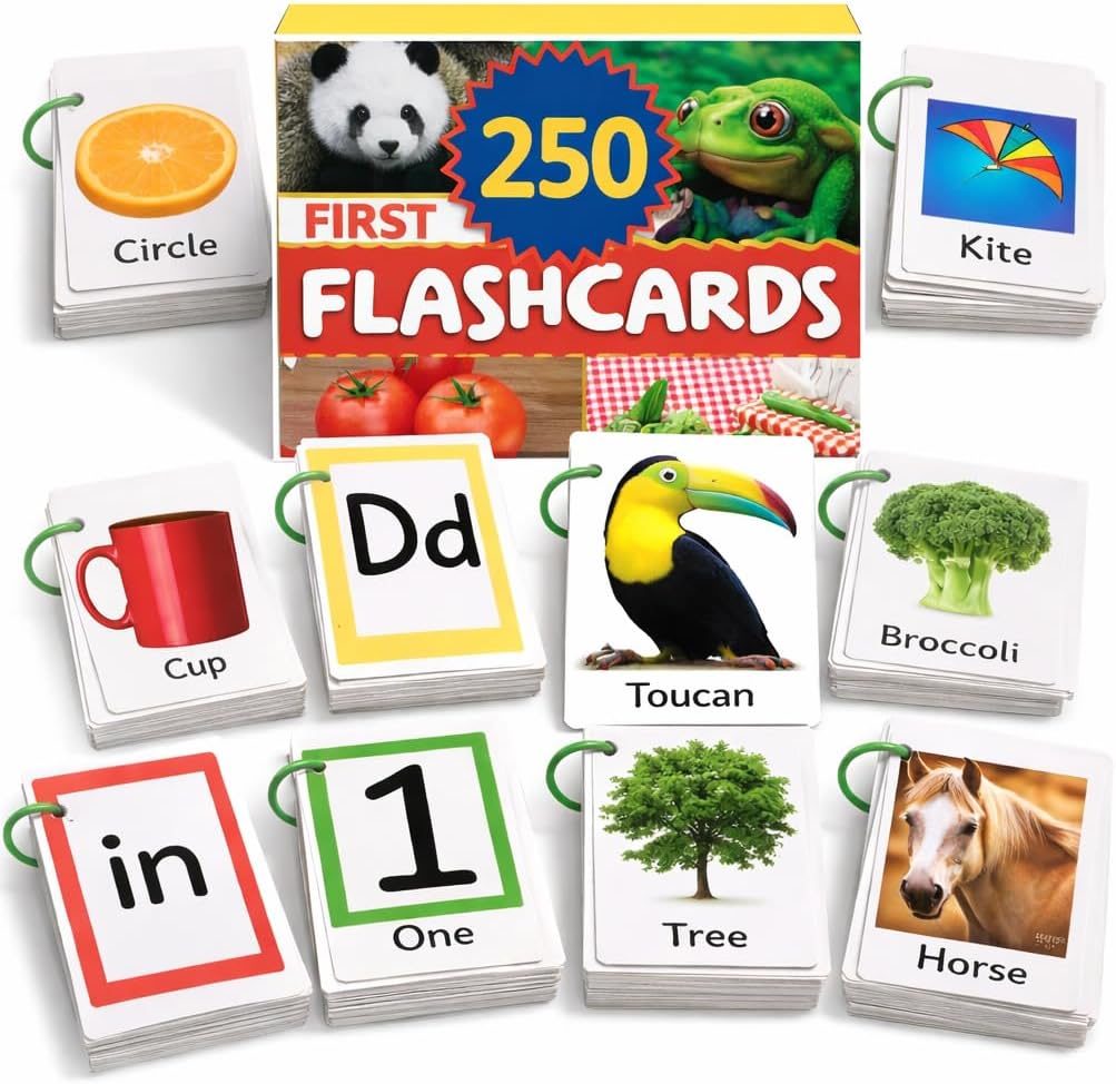 Flash Cards for Toddlers 1–3 with Rings,250 Double-Sided Cards,500 Words–1 Year Old Girl & Boy Gifts – Toddler Flash Cards–Learning & Educational Toys for 1+ Year Old, Montessori Toys for 2 Year Olds