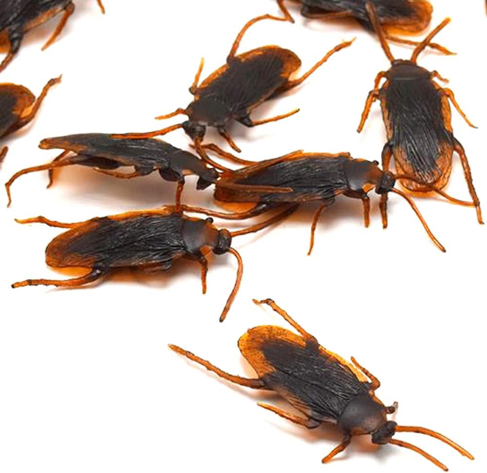 GUDVES Prank Fake Roaches Model Simulation Rubber Cockroach Roach Bug Toy Funny Trick Joke Toys Plastic Bugs (10PCS) - Image 4