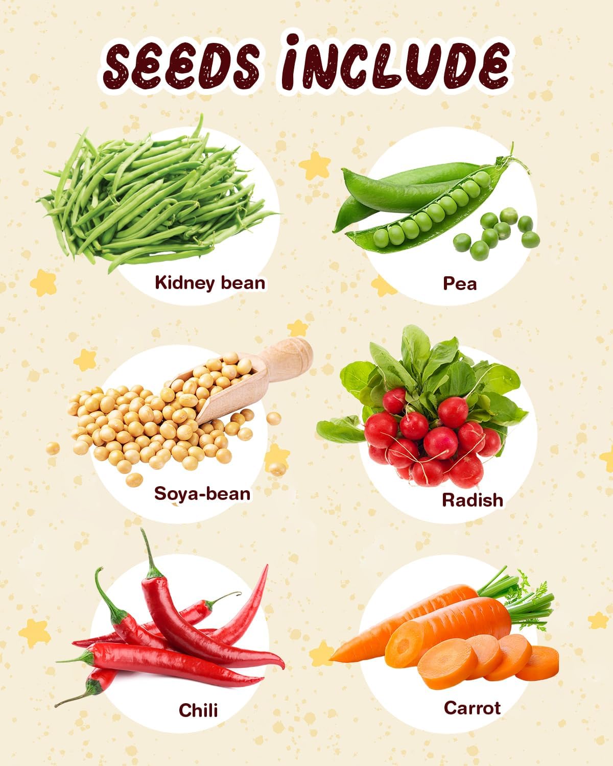 Root Viewer Kit for Kids with 6 Seed Varieties - STEM Science Kits for Kids Age 5-7, 8-12 | Perfect Christmas, Easter, Birthday Gift & School Gardening Project | Learning Educational Gardening Toys - Image 2