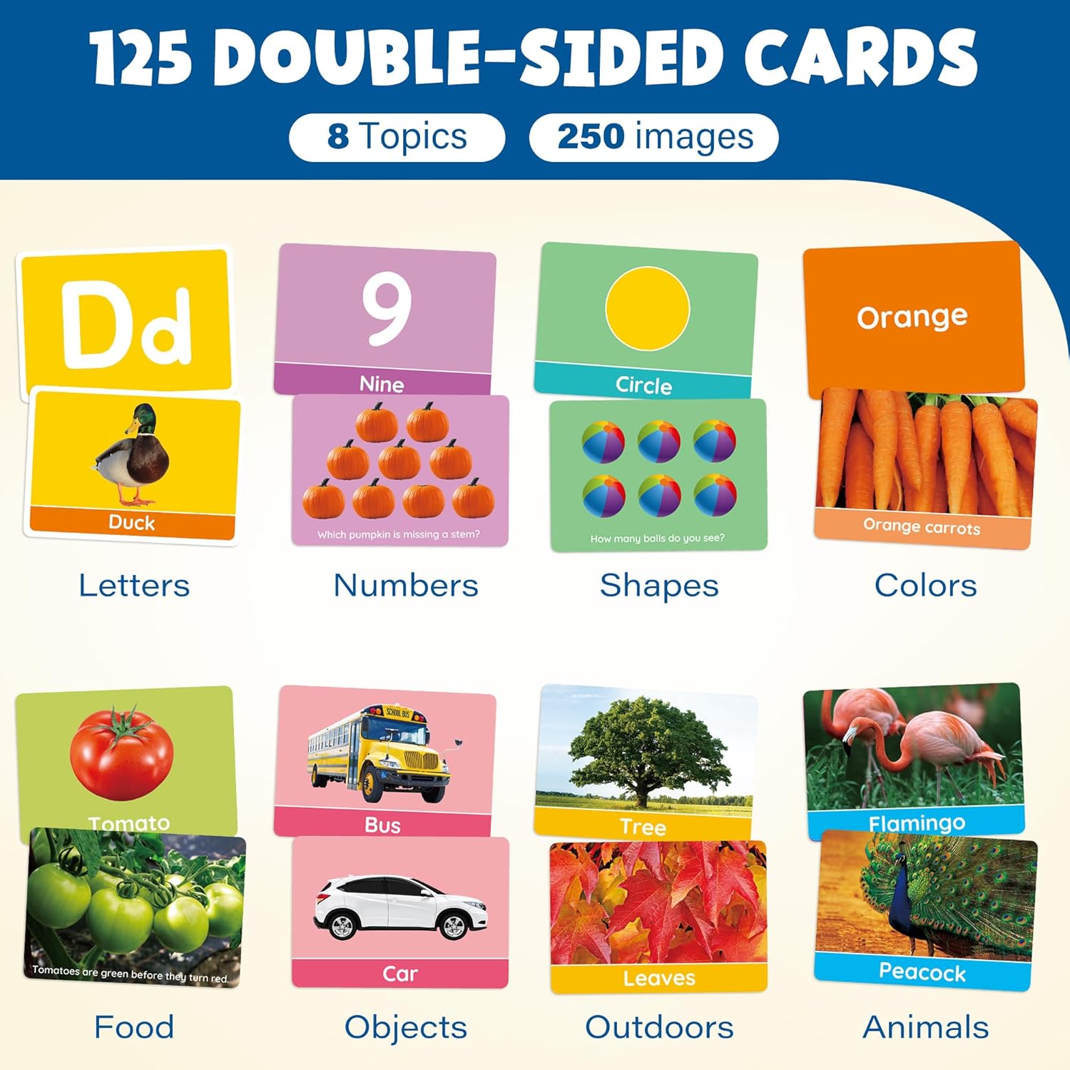 BenBen Flash Cards for Toddlers, Extra Thick, 250 Images, Double-Sided Educational Flashcards, Alphabet, Number, Animal, Shape, Color, Preschool Learning Activities, Gift for Kids 1 2 3 4 Years - Image 3