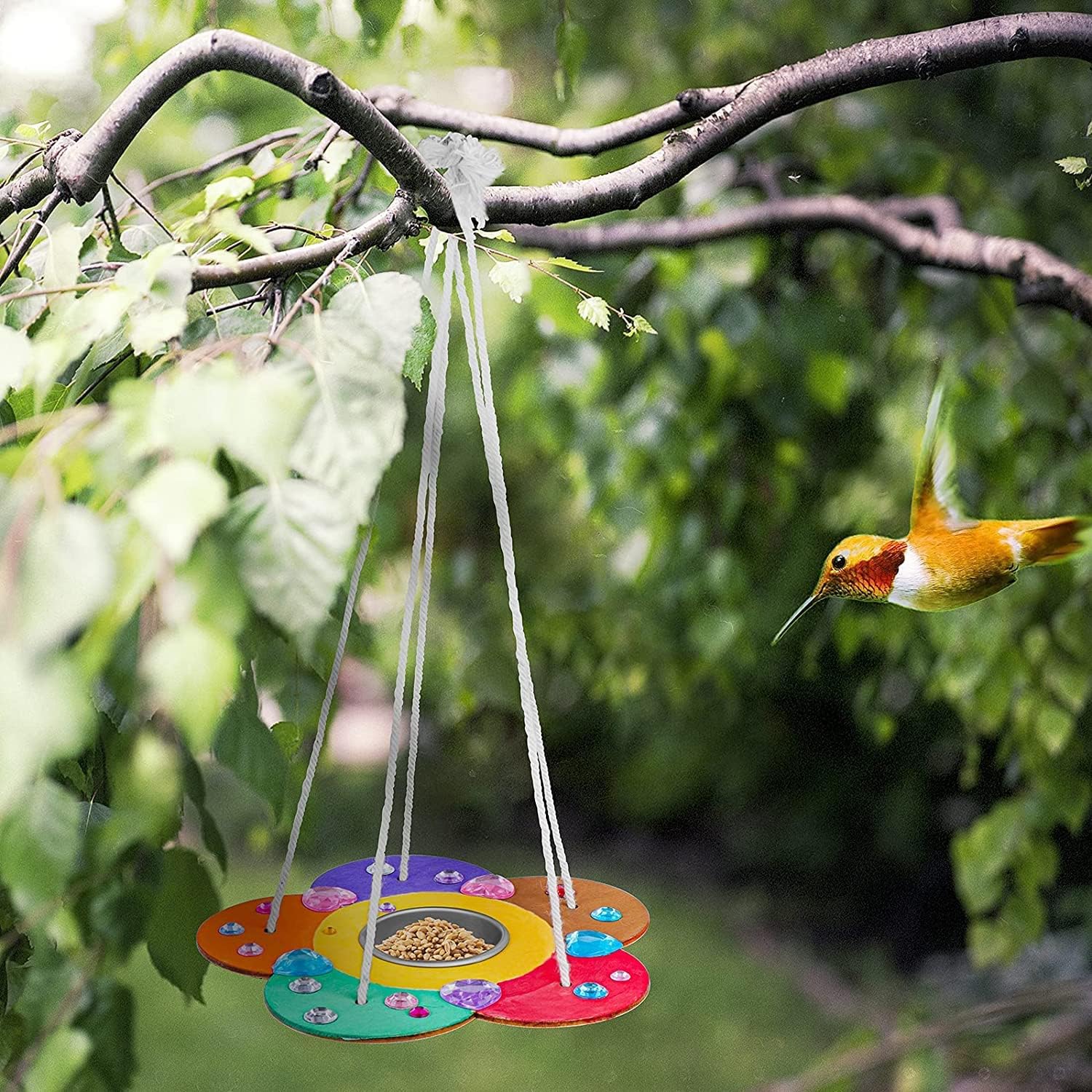Gooidea Kids Arts and Crafts Bird Feeders for Outside, 2-Pack DIY Wooden Paint Kits Spring Outdoor Toys Holiday Crafts for Boys & Girls Age 3-5 4-8 8-12 - Image 6