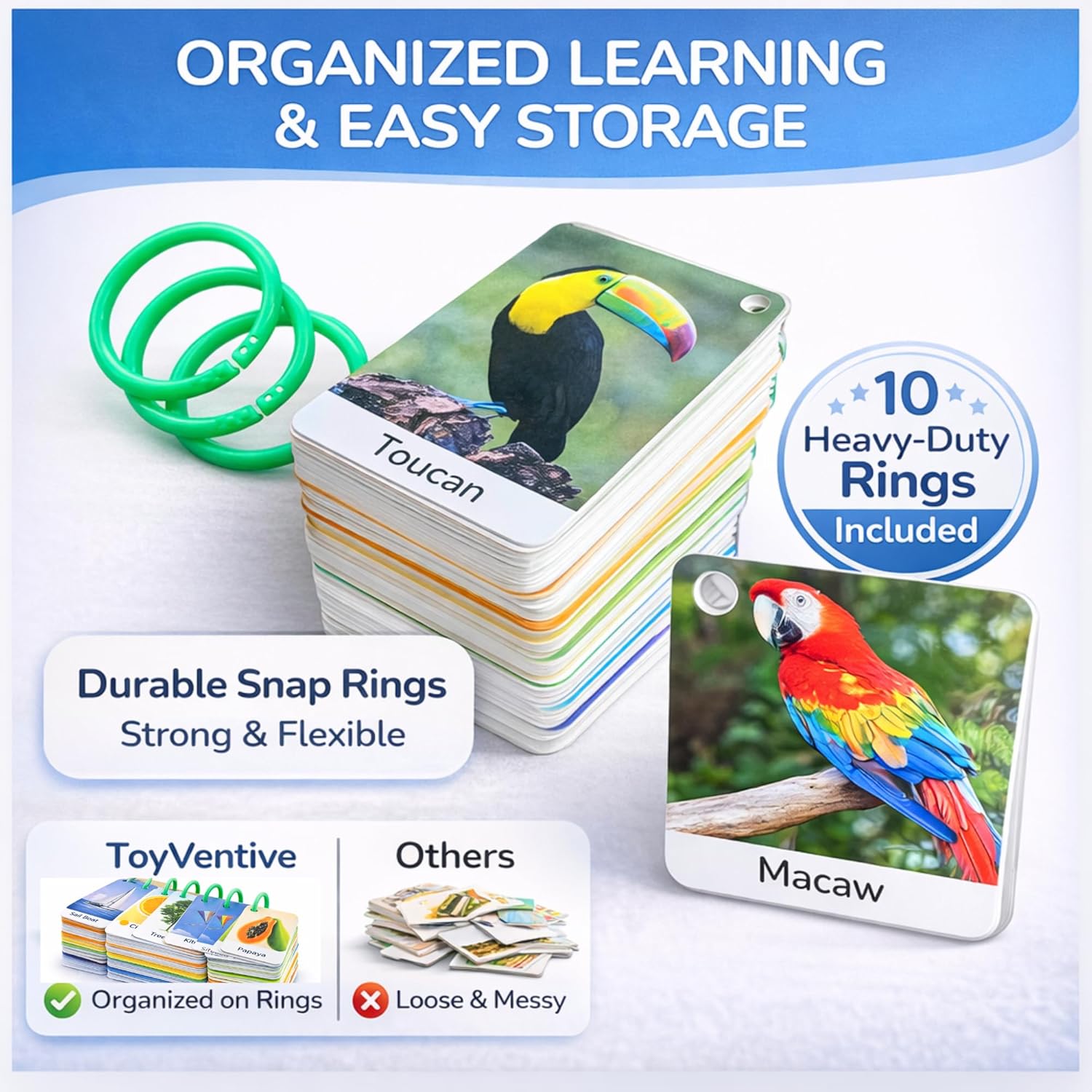 Flash Cards for Toddlers 1–3 with Rings,250 Double-Sided Cards,500 Words–1 Year Old Girl & Boy Gifts – Toddler Flash Cards–Learning & Educational Toys for 1+ Year Old, Montessori Toys for 2 Year Olds - Image 6