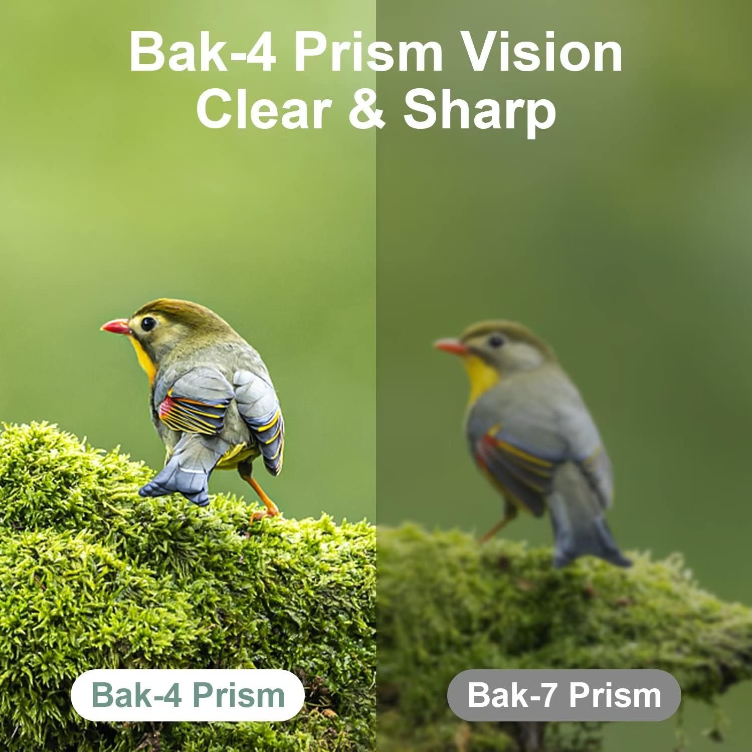 12X25 Mini Pocket Binoculars for Adults Kids, Small Compact Binoculars for Bird Watching, Opera Concert - Image 2