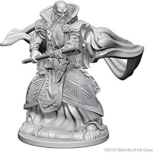 D&D Nolzur’s Marvelous Miniatures: Human Male Wizard