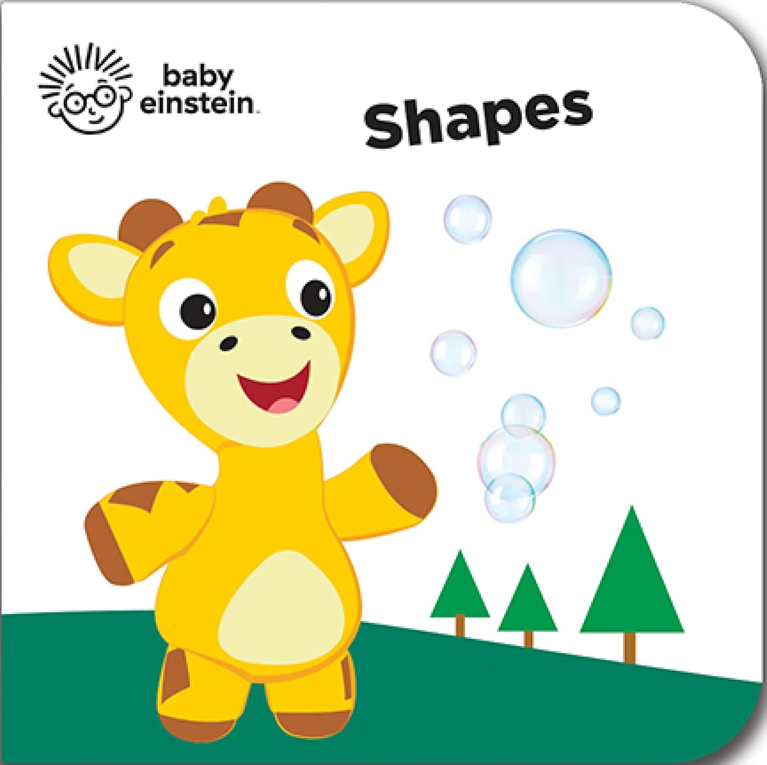 Baby Einstein - My First Library Board Book Block 12-Book Set - First Words, Alphabet, Numbers, and More! - PI Kids - Image 4
