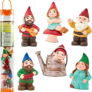 Safari Ltd. Gnome Family TOOB, 6 Mini Figurines, Garden Gnomes and Fairy Garden Accessories, Whimsical Fantasy Figures, Kids Toy Set and Collector Gift, Ages 3+