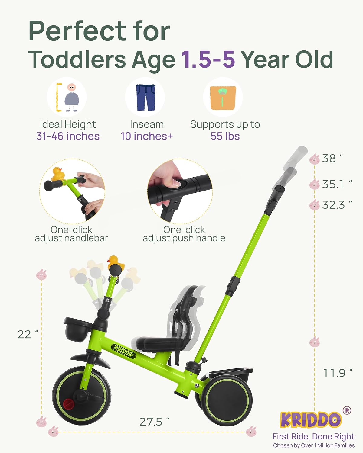 KRIDDO 2-in-1 Tricycle for Toddlers 1.5-5 Years, Push Tricycle with Parent Steering & Detachable Handle, 9-Stage Adjustable Handlebar, Toddler Trike with Safety Belt, Clutch Pedals & Dual Baskets, GN - Image 7