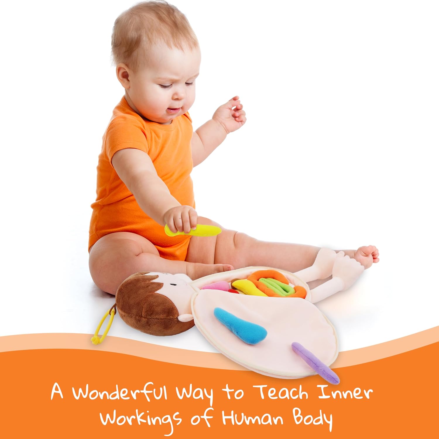 June Garden Little Patient Lucas Plush Anatomy Doll - Soft Educational Toy with Removable Human Organs - Learn Basic Anatomy for Toddlers and Kids - Image 5