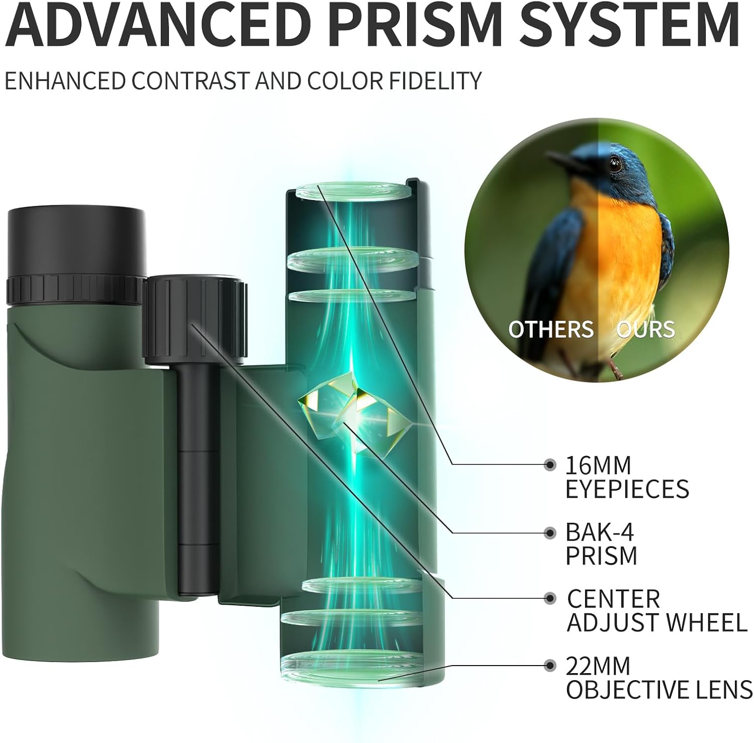 10x22 Compact Binoculars for Adults and Kids, Lightweight Pocket Binocular with 10mm Large Eyepiece & BAK4 Prism, Low Light Vision for Bird Watching, Travel, Hunting - Image 2