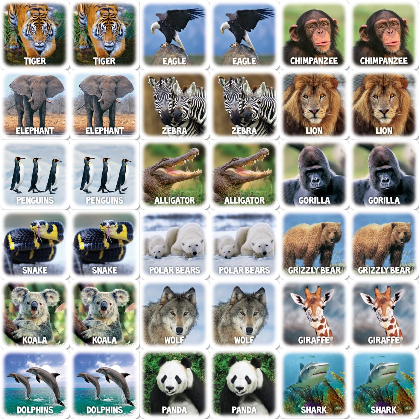 MasterPieces Kids Games - World of Animals Matching Game - Game for Kids and Family - Laugh and Learn - Image 2