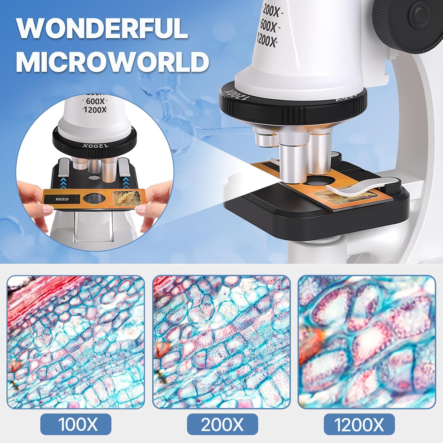 61 Piece Kids Microscope Kit - 100X-1200X with LED Light, Science Kit with Blank and Prepared Slides, Phone Holder, Carrying Box, STEM Project Toy, Educational Gift for Children Ages 6-12 - Image 5