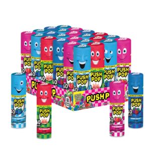Push Pop Candy Lollipops – Individually Wrapped Variety Candy Party Pack – 24 Count Lollipops in Assorted Fruity Flavors – Fun Candy for Gifts, Celebrations, Party Favors, Gift Baskets, & Birthdays