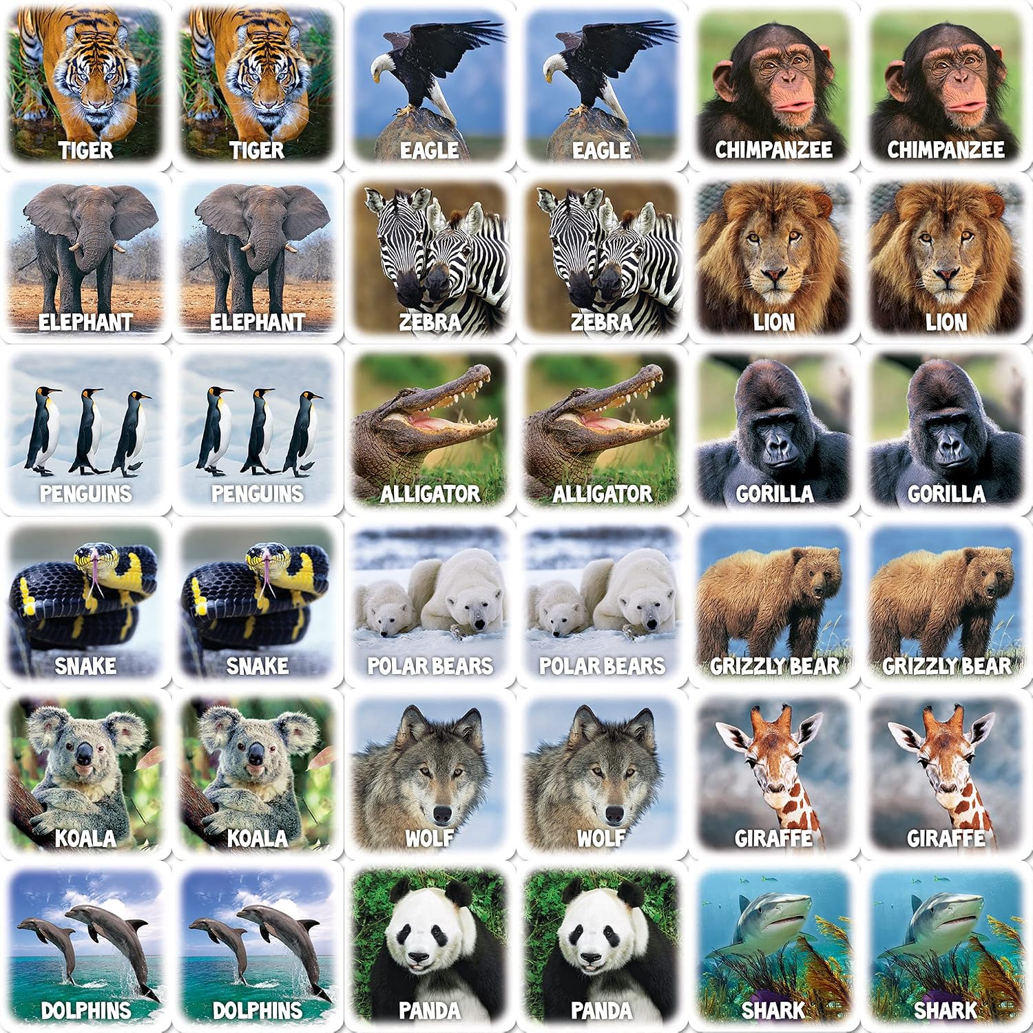 MasterPieces Kids Games - World of Animals Matching Game - Game for Kids and Family - Laugh and Learn - Image 4